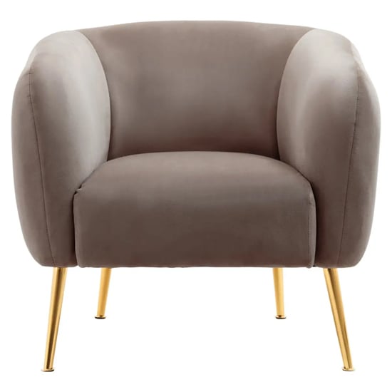 York Velvet Armchair In Dark Beige With Gold Metal Legs