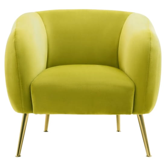 York Velvet Armchair In Olive With Gold Metal Legs